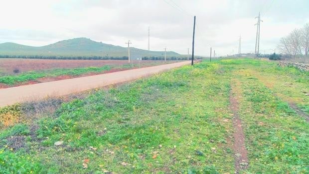 La Junta autoriza una tercera planta de placas solares en Puente Genil, de una extensión de 20 hectáreas