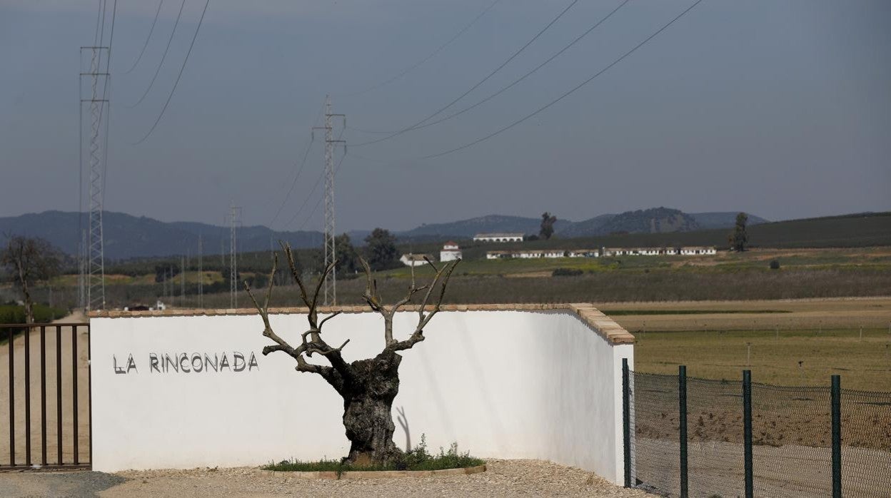 Parte de los suelos de La Rinconada, donde todo apunta que se construirá la Base Logístiica de Córdoba