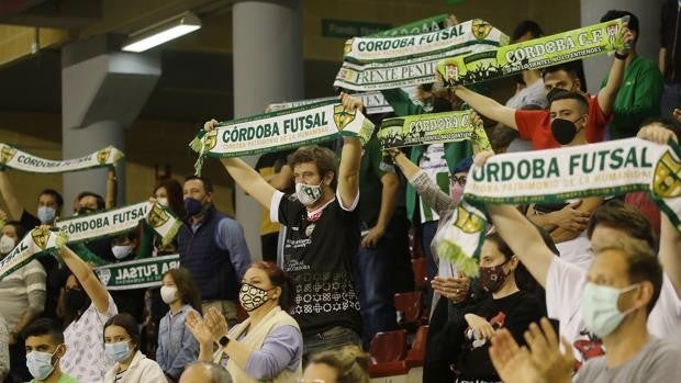 El Córdoba Patrimonio agota las entradas para el partido ante el Valdepeñas en sólo dos horas