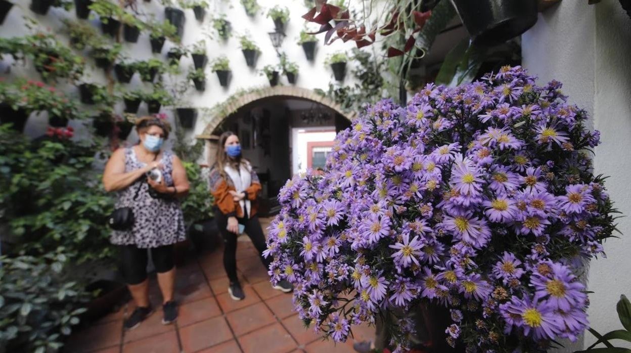 Visitantes en un patio de Córdoba la pasada edición