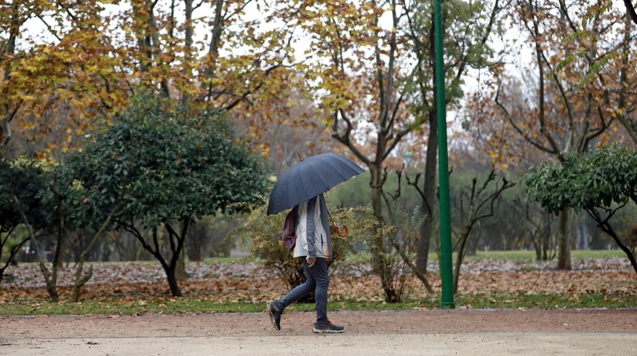 Una mujer pasea por el Parque Cruz Conde de Córdoba