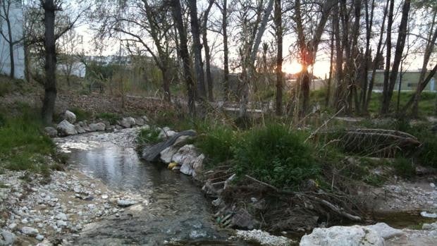 La CHG se desmarca de la obra para evitar inundaciones en el tramo urbano del río en Lucena