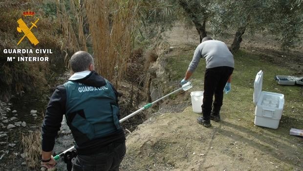 Multan con 600.000 euros a El Tejar por un vertido al río Guadalquivir que acabó con 50.000 peces