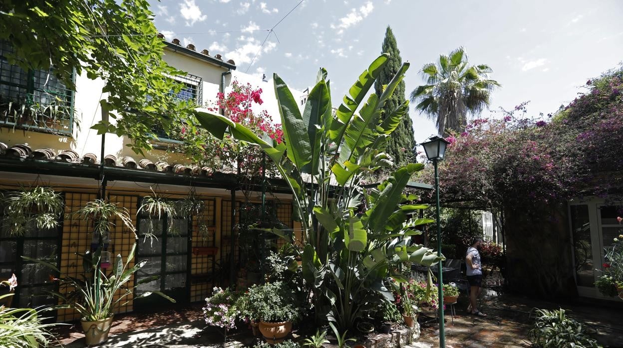 Patio de la plaza de las Tazas, Regina