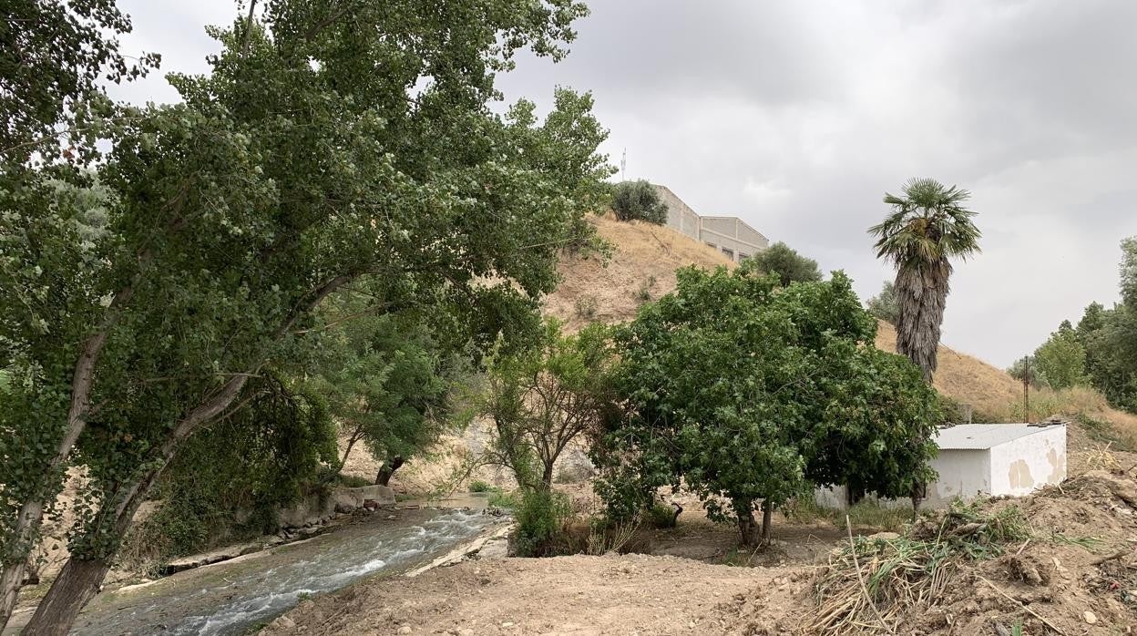 Tramo donde quedaron paradas las obras de adecuación del río a su paso por Cabra