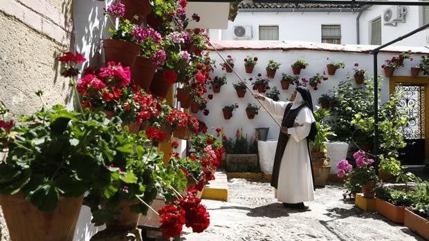 Especial Centenario de los Patios ABC | Cinco cosas que no sabías de la historia del concurso