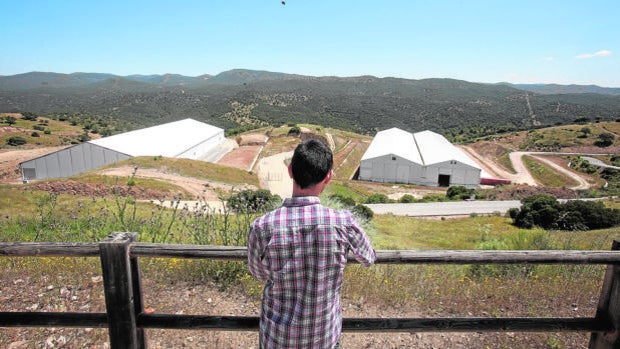La ampliación de El Cabril necesitará un informe favorable del Ayuntamiento de Hornachuelos