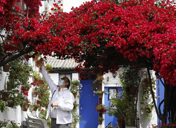 Un vecino del patio de Marroquíes, 6 da los últimos retoques al recinto para el concurso