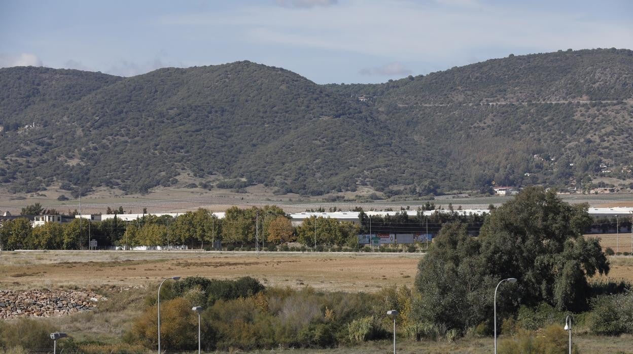 Terrenos que debería ocupar la Variante Oeste