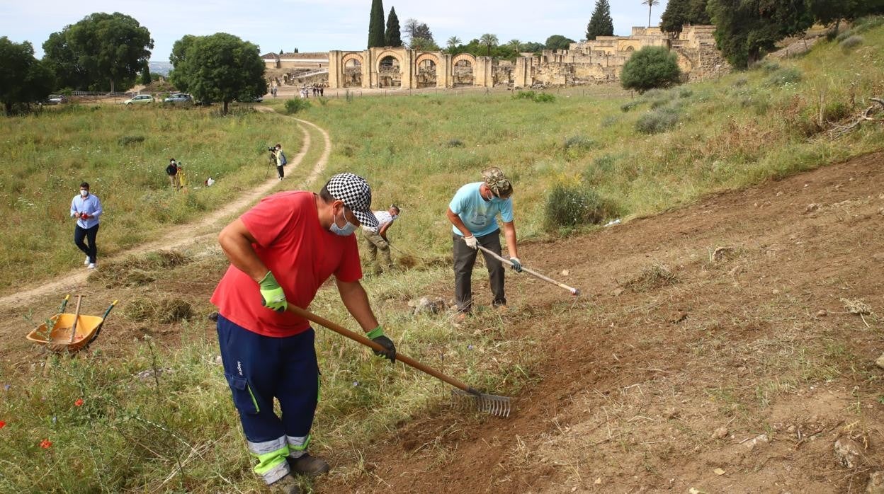 Desbroce del suelo