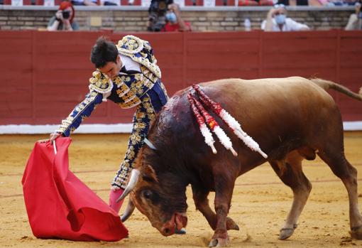 Imagen de la novillada, con la que arrancó ayer la Feria Taurina de Córdoba