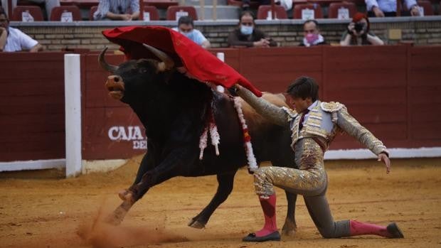 Feria de Córdoba | Oreja para El Rafi ante un excepcional enemigo en la novillada de apertura