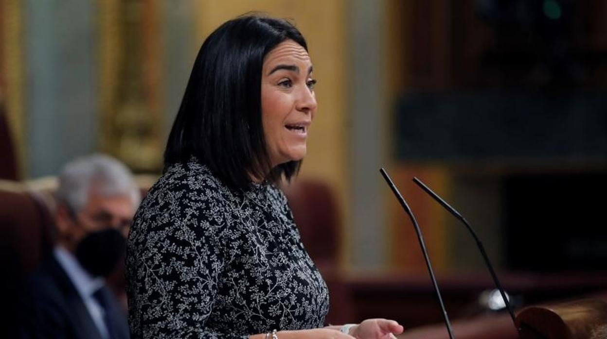 La diputada de Ciudadanos María Carmen Martínez Granados, durante un pleno del Congreso