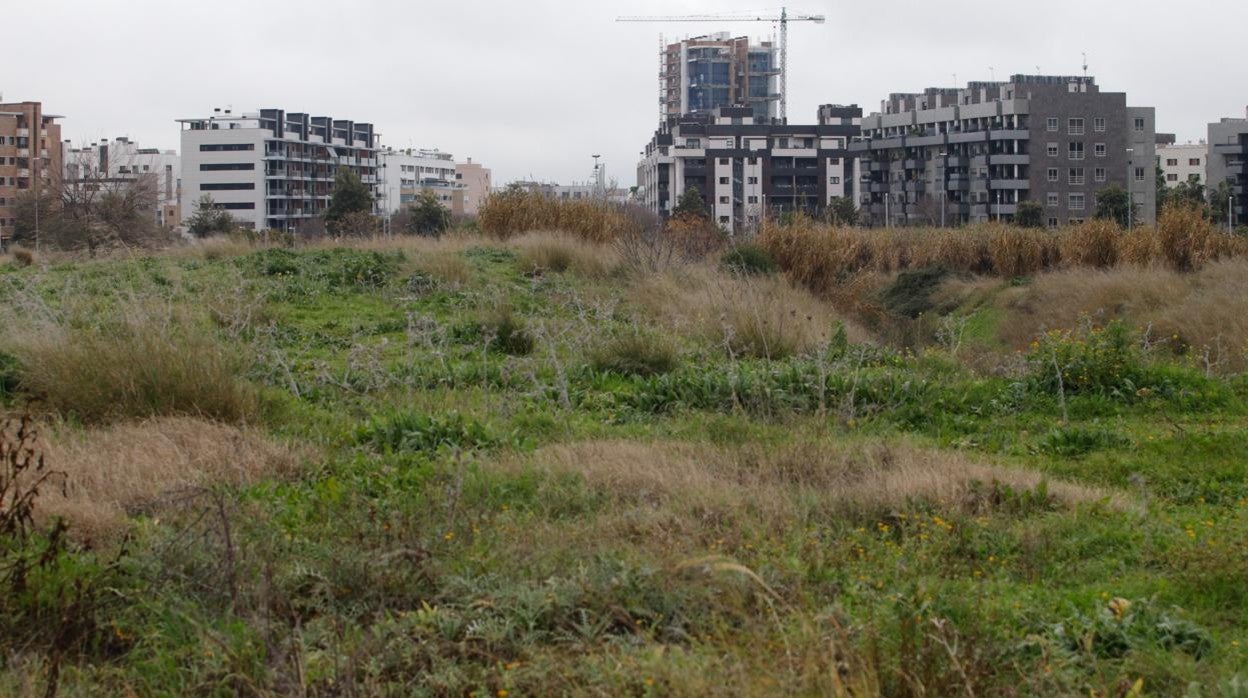 Imagen de parte de los terrenos que se transformarán en el Parque de la Arruzafilla