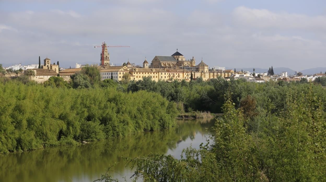 Márgenes del río Guadalquivir a su paso por Córdoba, dispuestas para conformar una vía verde