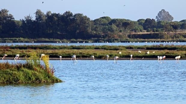 Ocho Parques Naturales de Andalucía que visitar en su Día Europeo