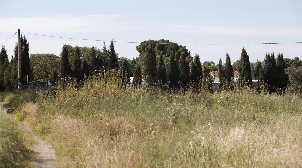 Zona que se discute como parte de la vía pecuaria