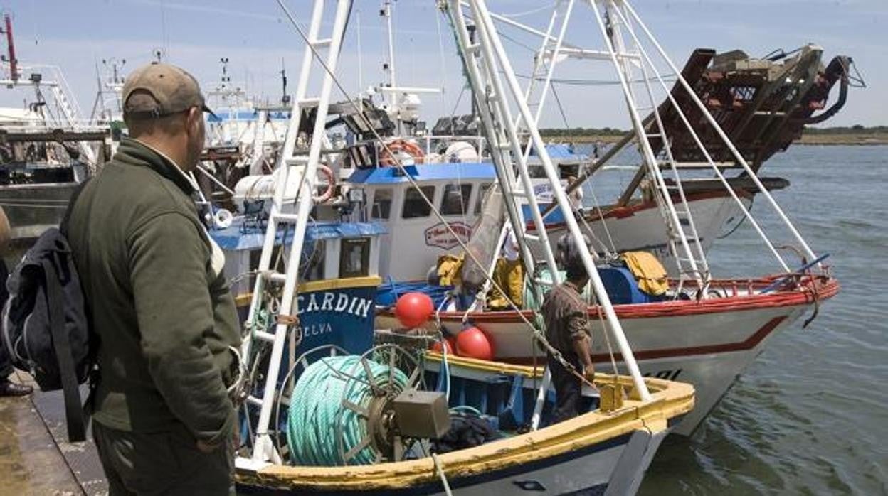 Embarcaciones pesqueras amarradas a puerto en Huelva