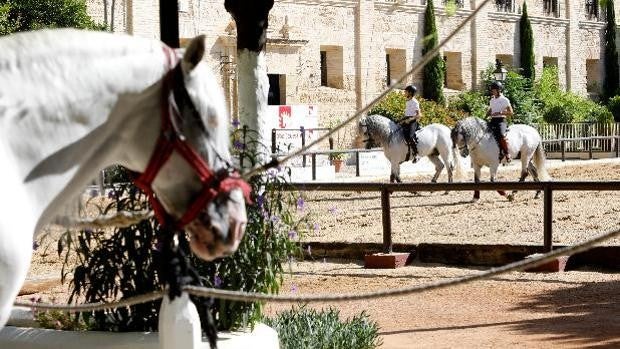 Urbanismo ultima el expediente de expropiación de Caballerizas Reales de Córdoba y prevé su aprobación en junio