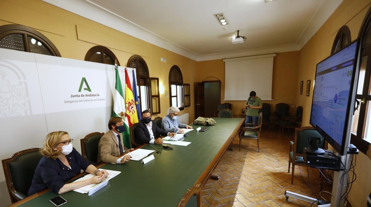 Reunión de la comisión provincial del Infoca, ayer en Córdoba