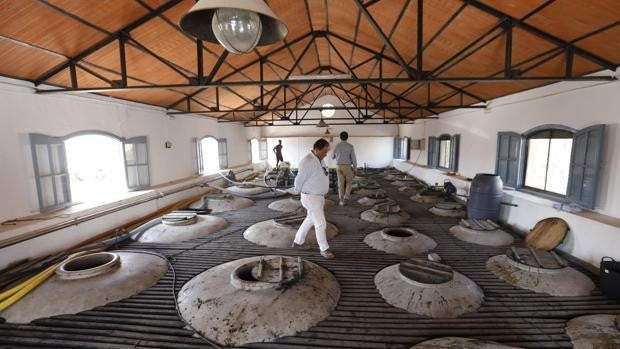 La pandemia obligó a más bodegas de Córdoba a salir al exterior en 2020