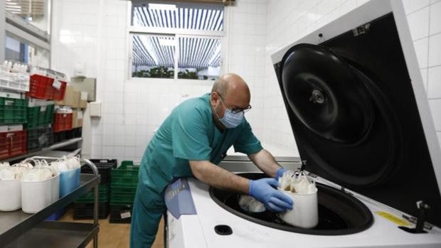 Siguen bajando los hospitalizados y se mantiene el nivel de contagios en Andalucía