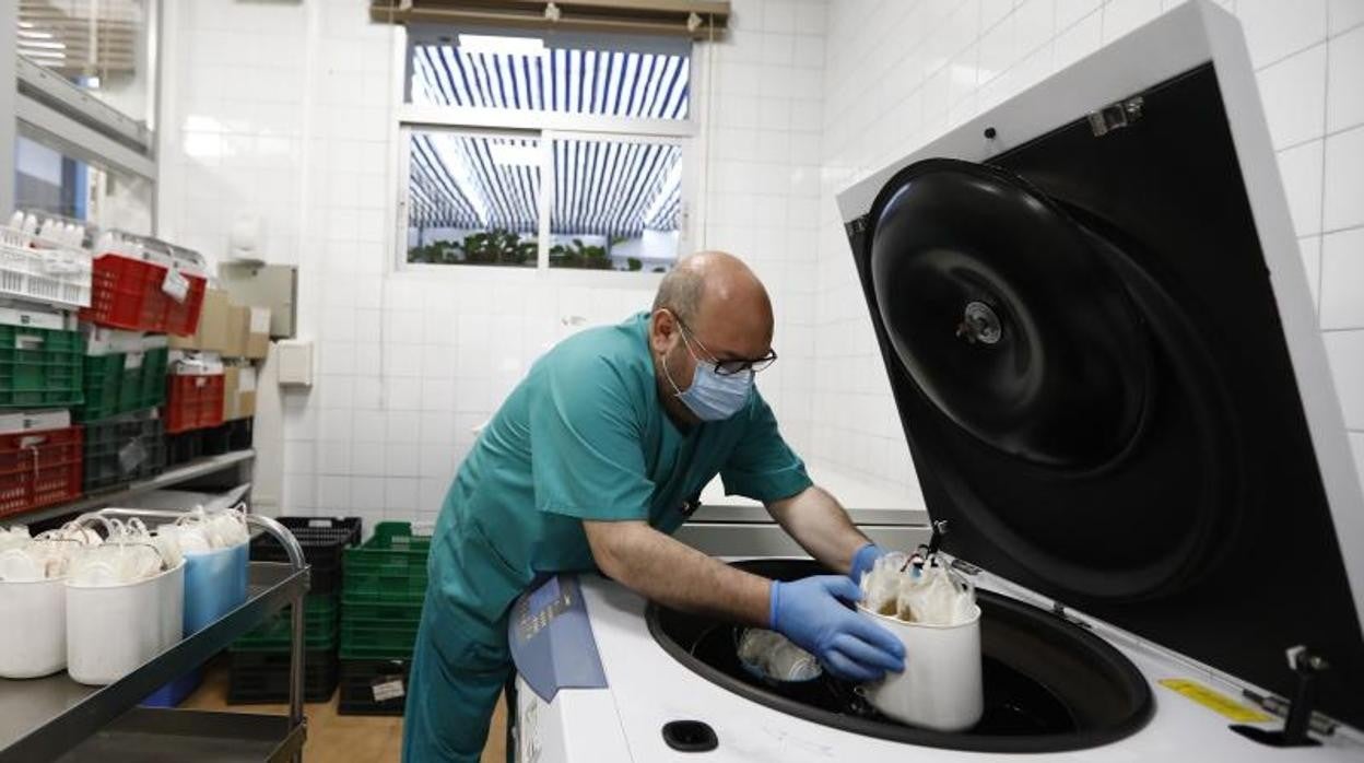 Un sanitario trabajando en las dependencias del Hospital Reina Sofía