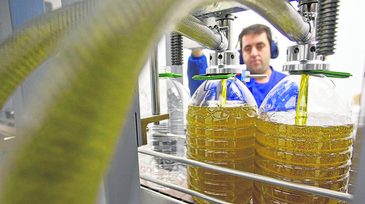 Trabajo en una almazara de aceite