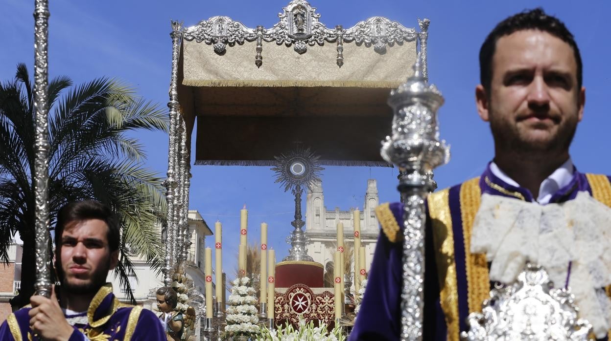 Procesión eucarística de la hermandad del Císter de Córdoba