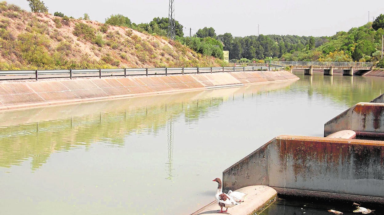 Canal de riego de la zona del Genil-Cabra