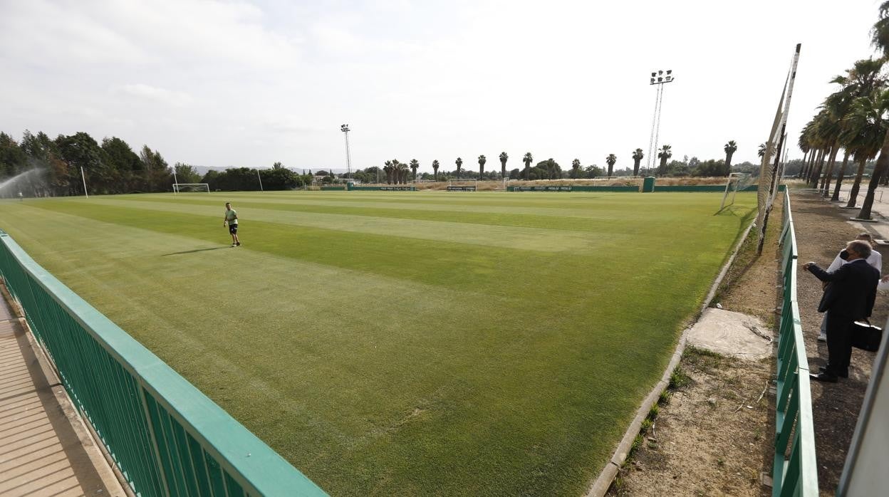 Imagen del campo principal de la Ciudad Deportiva del Córdoba CF durante el lanzamiento