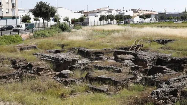 Arqueobasura | Cerdos y una vieira en la Córdoba del siglo XII, el hogar de los últimos mozárabes