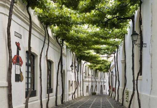 Calle Ciegos en las bodegas de González Byass