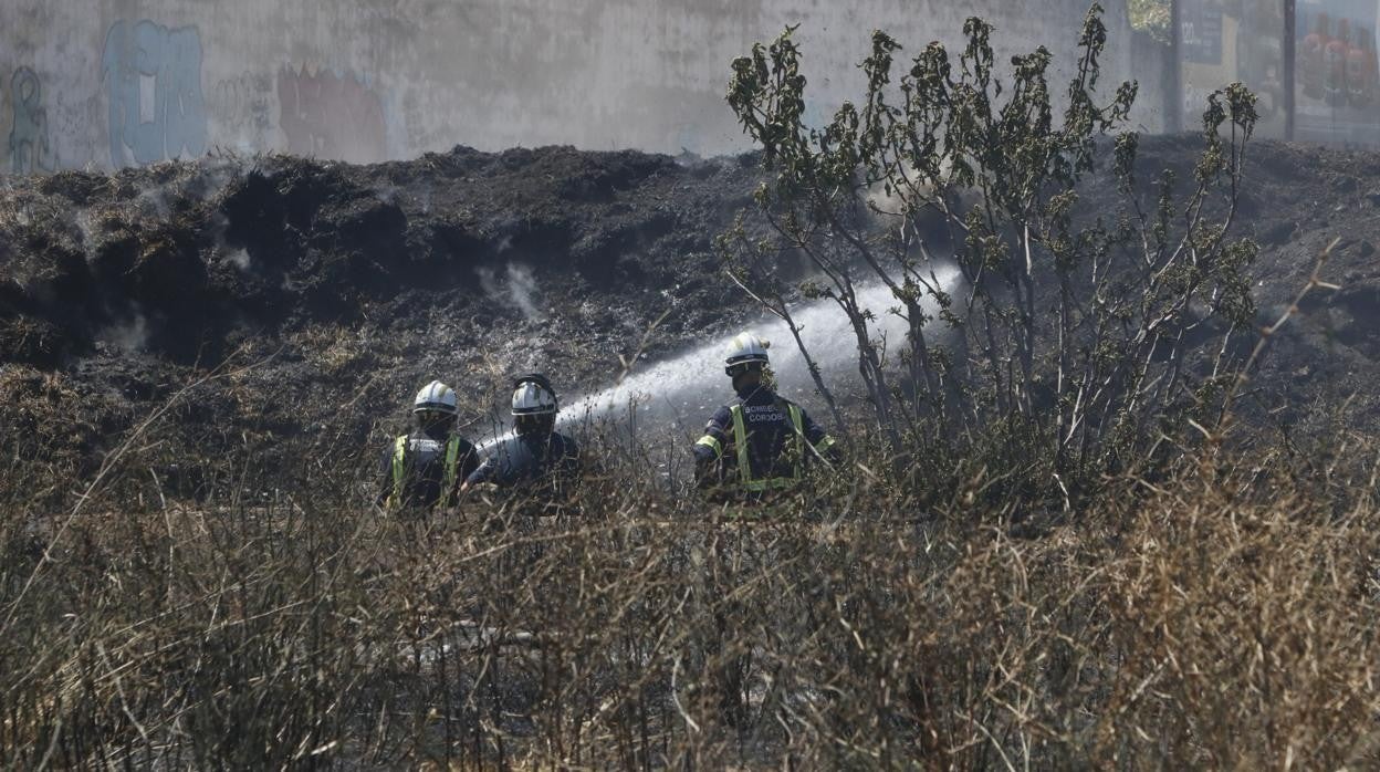 Los agentes sofocando el fuego en un solar situado en torno a las instalaciones de El Fontanar