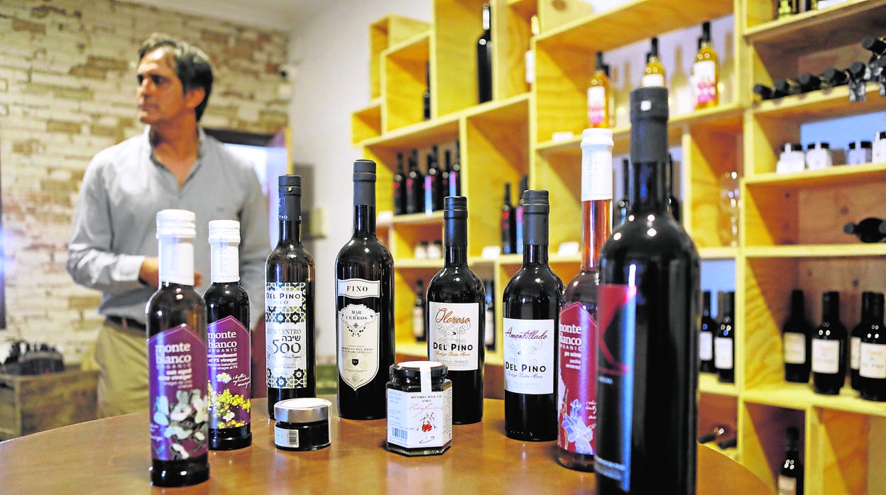 Vinos y vinagres de Montilla-Moriles a la venta en una enotienda de Montalbán