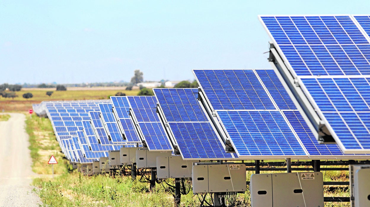 Planta solar como la proyectada en Lucena