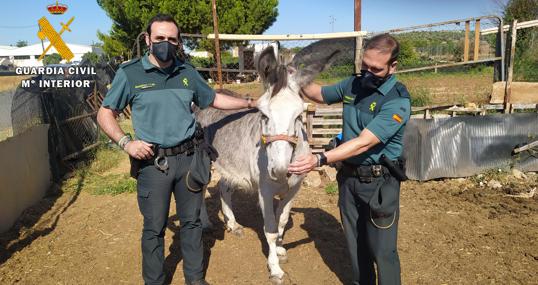 Los agentes de la Guardia Civil que intervinieron junto al animal rescatado