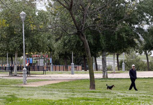 Nuevo Zoco, con amplías zonas verdes, es una zona que gana habitantes en Córdoba