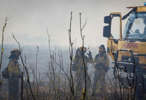 Bomberos forestales durante la intervención