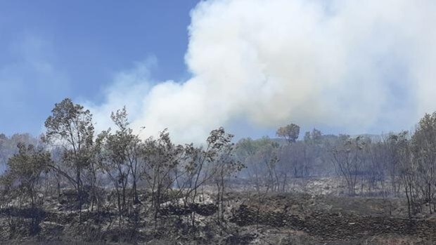 Estabilizados los incendios forestales de Huelva, Granada y Málaga