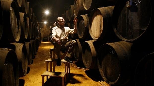 Aguilar de la Frontera | Toro Albalá, mejor bodega del año por la ‘Guía Gourmets’