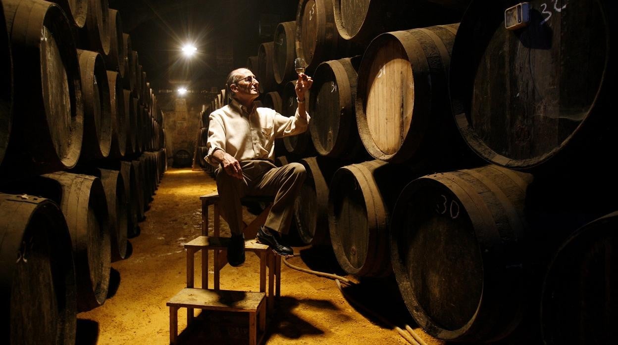 Antonio Sánchez en el interior de la bodega en Aguilar de la Frontera