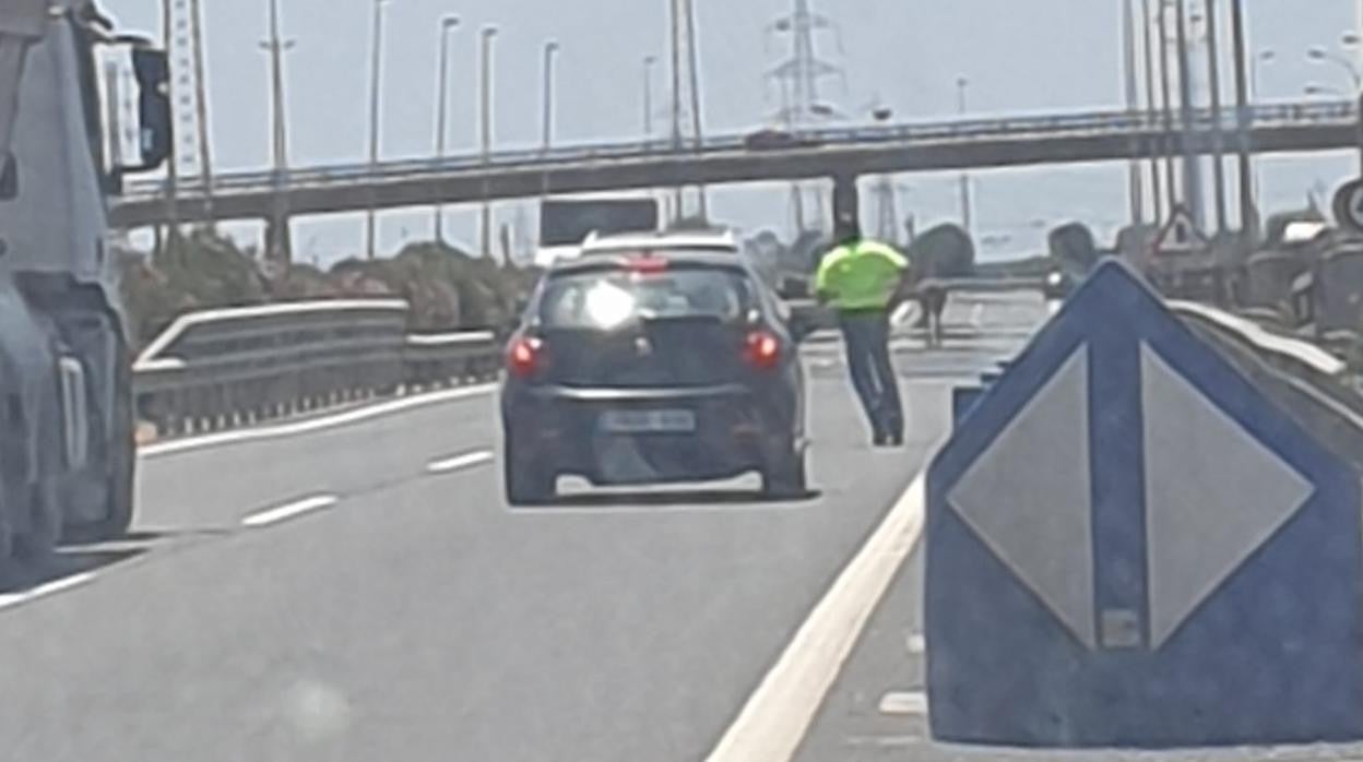 Vehículos parados por la presencia del caballo en mitad de la carretera