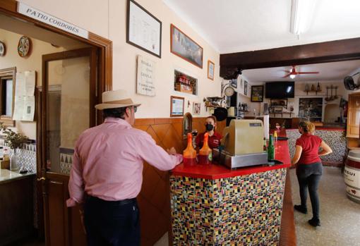 Sitios para comer bien y barato en Córdoba si vienes a visitar la ciudad