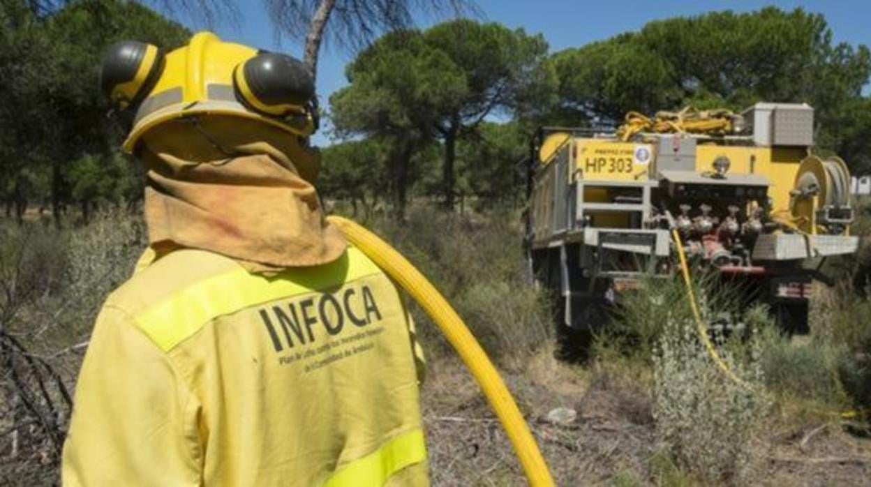 Agentes de Infoca trabajando sobre el terreno