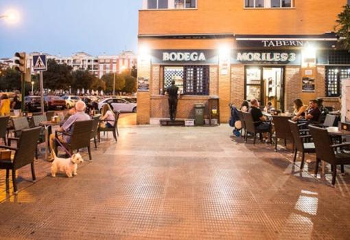 Sitios para comer bien y barato en Córdoba si vienes a visitar la ciudad