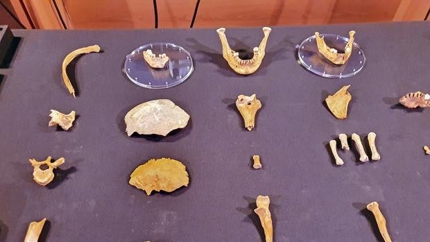 Hallan restos humanos de más de 3.000 años de antigüedad en el municipio jiennense de Bedmar