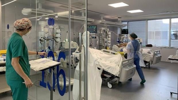 Andalucía reduce la quinta ola del Covid por décimo día pero suma 14 muertos