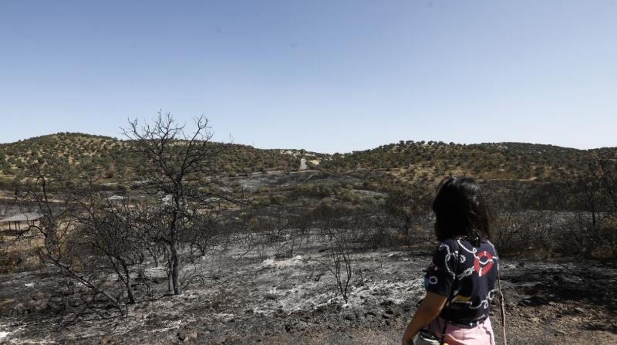 Una mujer observa el estado en que ha quedado el monte en Villaharta en la mañana del 16 de agosto