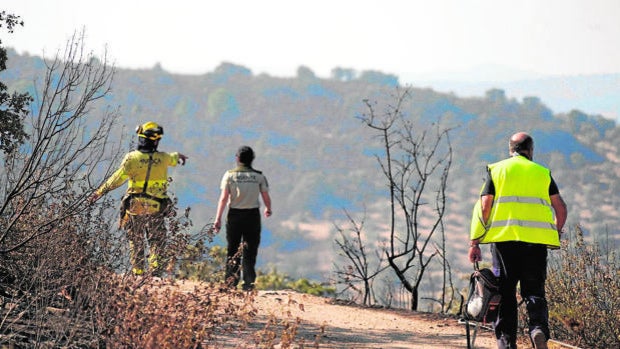 El Infoca da por extinguido el incendio de Alcaracejos tras calcinar 610 hectáreas